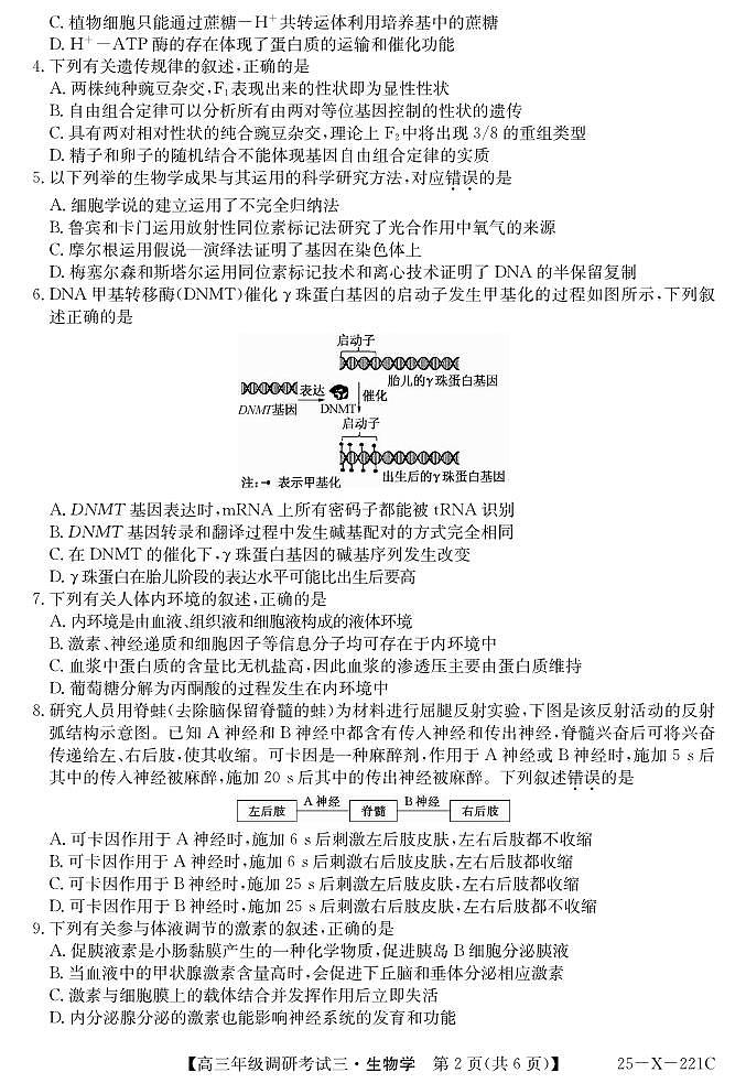 生物丨河南省TOP二十名校2025届高三12月调研考试(三)生物试卷及答案第2页