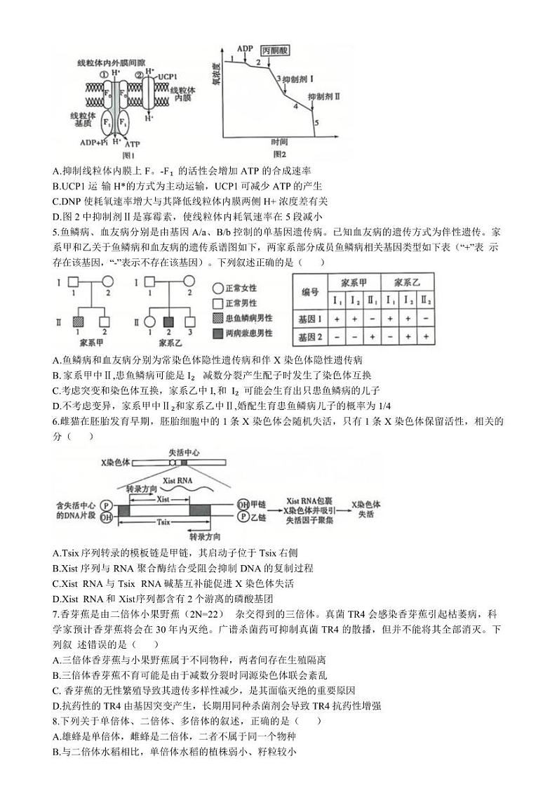 生物丨天一大联考●齐鲁名校联盟大联考2025届高三12月第三次联考生物试卷及答案第2页
