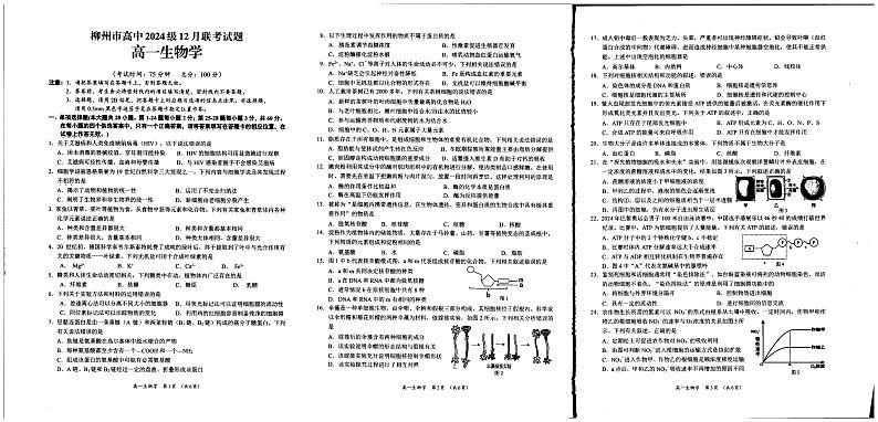 广西柳州市高中2024-2025学年高一上学期12月联考生物试题第1页