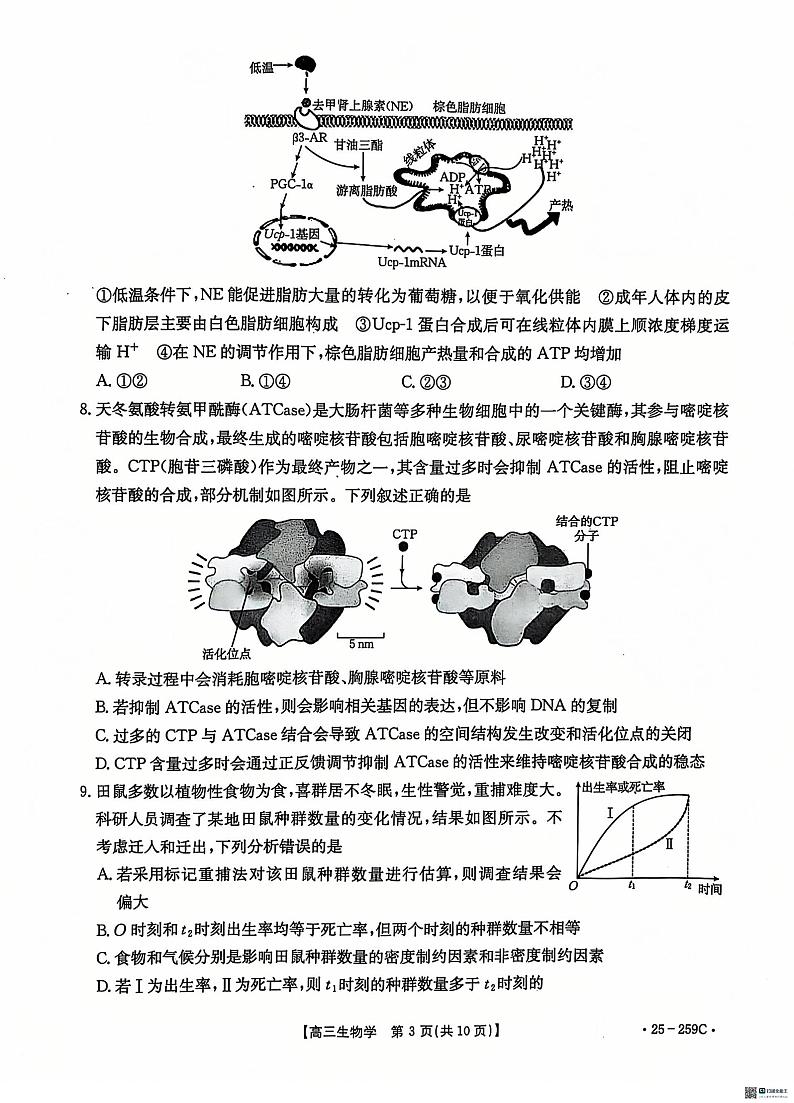 河北省“五个一”名校联盟2024-2025学年高三上学期12月月考试题 生物 PDF版含答案第3页