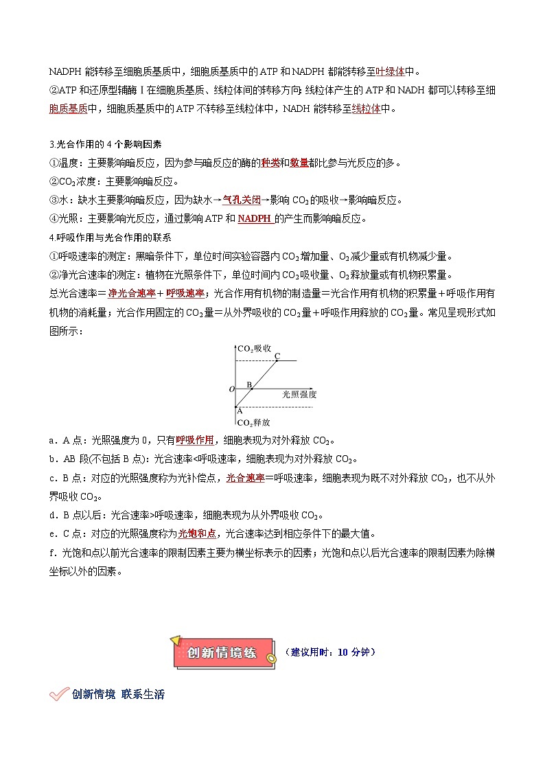 专题06 光合作用的原理-2025年高考生物 热点 重点 难点 专练(新高考通用)(原卷版)第3页