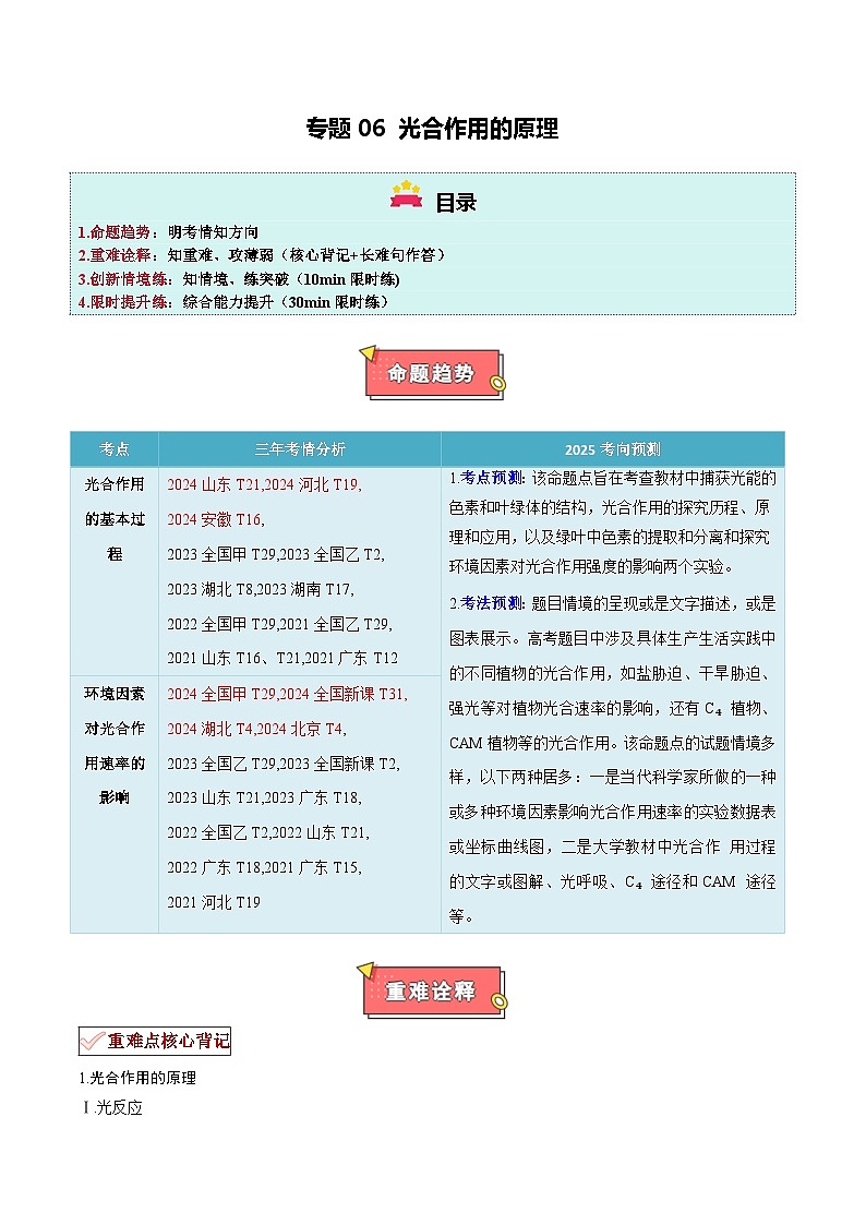 专题06 光合作用的原理-2025年高考生物 热点 重点 难点 专练(新高考通用)(解析版)第1页