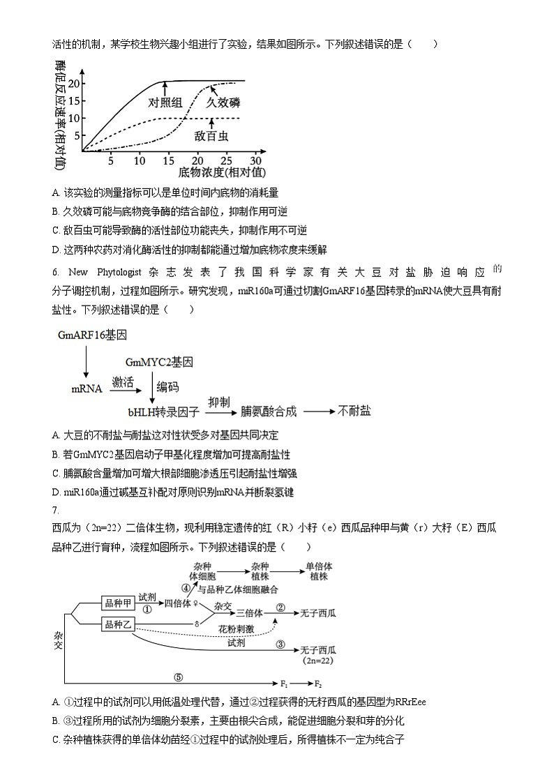 四川省绵阳市绵阳中学2024-2025学年高三上学期12月月考生物试题 Word版无答案第2页
