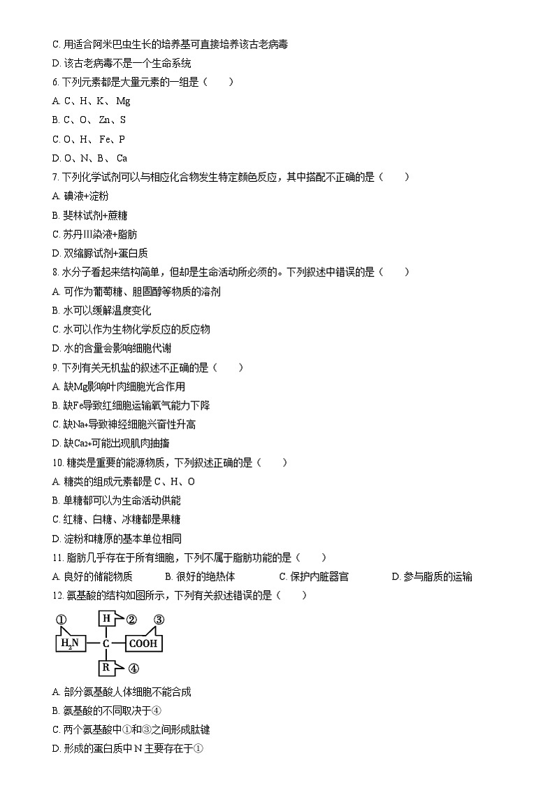重庆市万州第三中学等多校2024-2025学年高一上学期12月月考生物试题 Word版无答案第2页