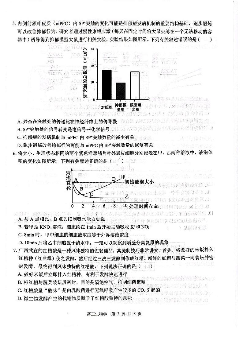 【广西卷】广西壮族自治区广西名校2025届高中毕业班12月模拟考试生物试卷第2页