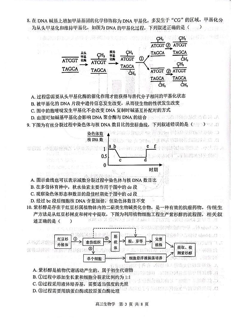 【广西卷】广西壮族自治区广西名校2025届高中毕业班12月模拟考试生物试卷第3页