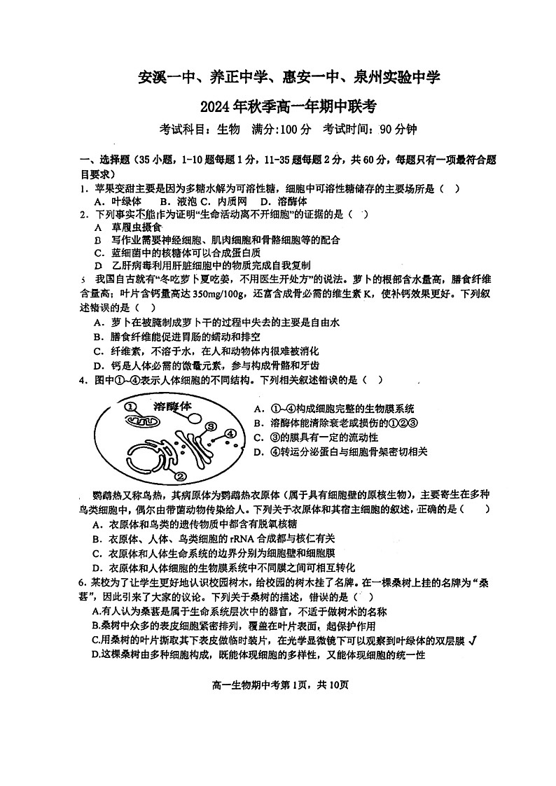 福建省泉州市安溪一中,惠安一中,养正中学,实验中学2024-2025学年高一上学期11月期中生物试题第1页