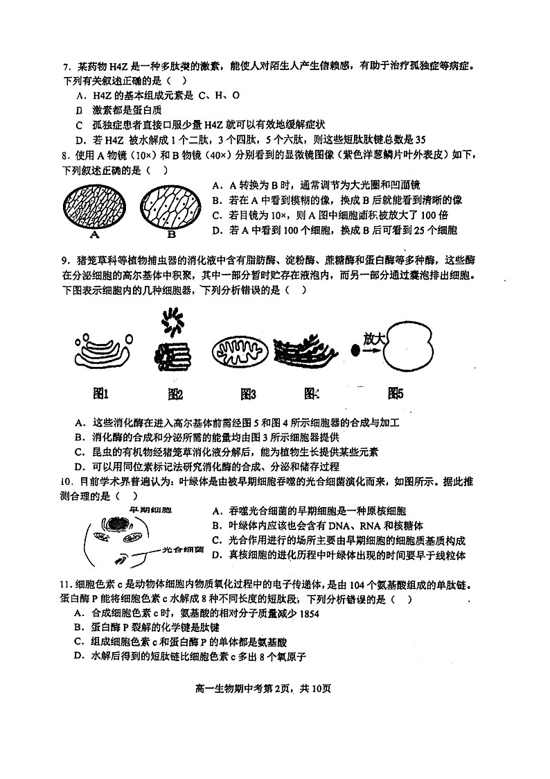 福建省泉州市安溪一中,惠安一中,养正中学,实验中学2024-2025学年高一上学期11月期中生物试题第2页