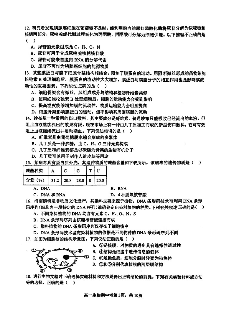 福建省泉州市安溪一中,惠安一中,养正中学,实验中学2024-2025学年高一上学期11月期中生物试题第3页
