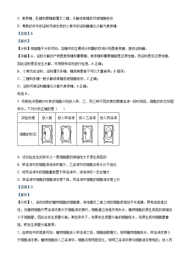 河南省驻马店市2024-2025学年高三上学期期中考试生物试题 Word版含解析第2页