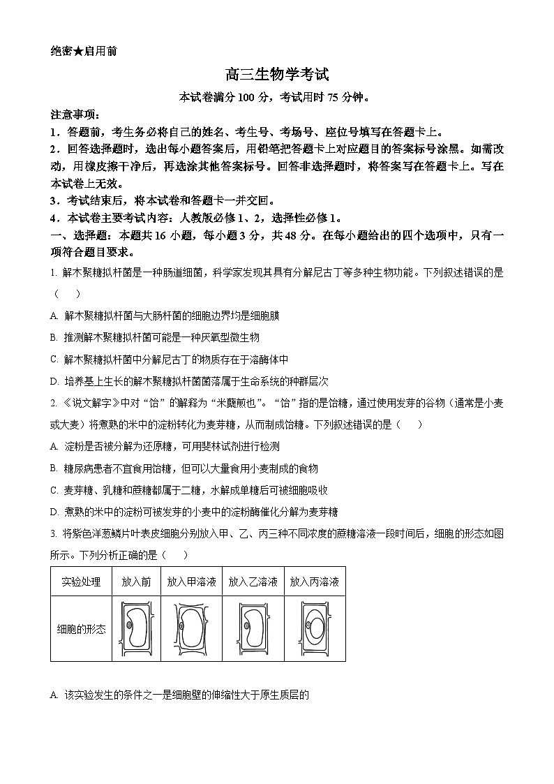 河南省驻马店市2024-2025学年高三上学期期中考试生物试题 Word版无答案第1页
