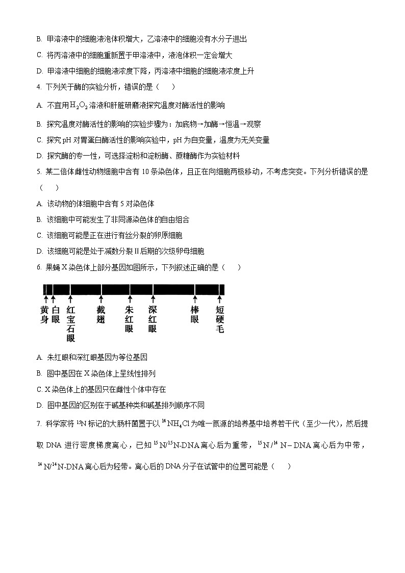 河南省驻马店市2024-2025学年高三上学期期中考试生物试题 Word版无答案第2页