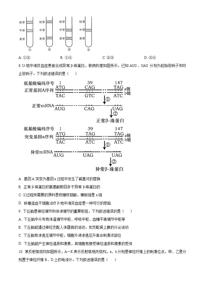 河南省驻马店市2024-2025学年高三上学期期中考试生物试题 Word版无答案第3页