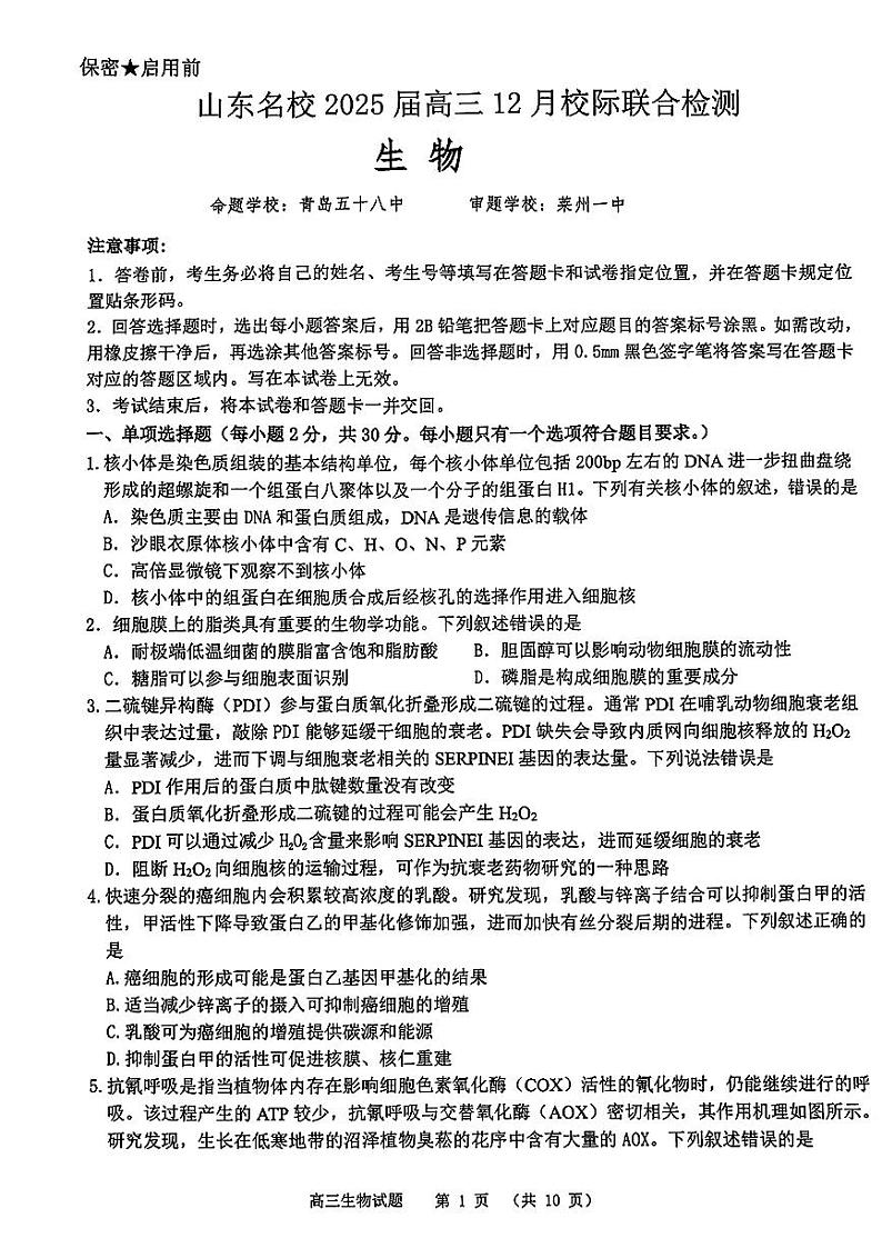 山东省名校2025届高三上学期12月校际联合检测-生物试题+答案第1页
