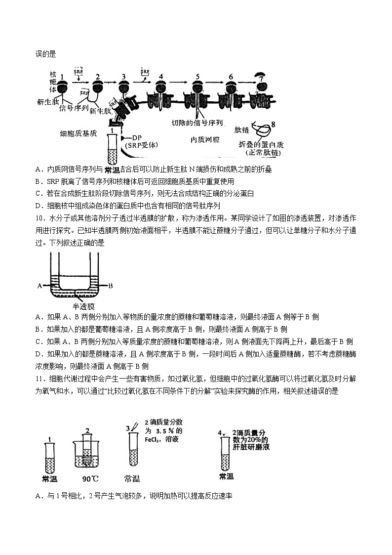 河南省南陽市六校2024-2025學(xué)年高一上學(xué)期12月聯(lián)考生物試卷（Word版附解析）第3頁