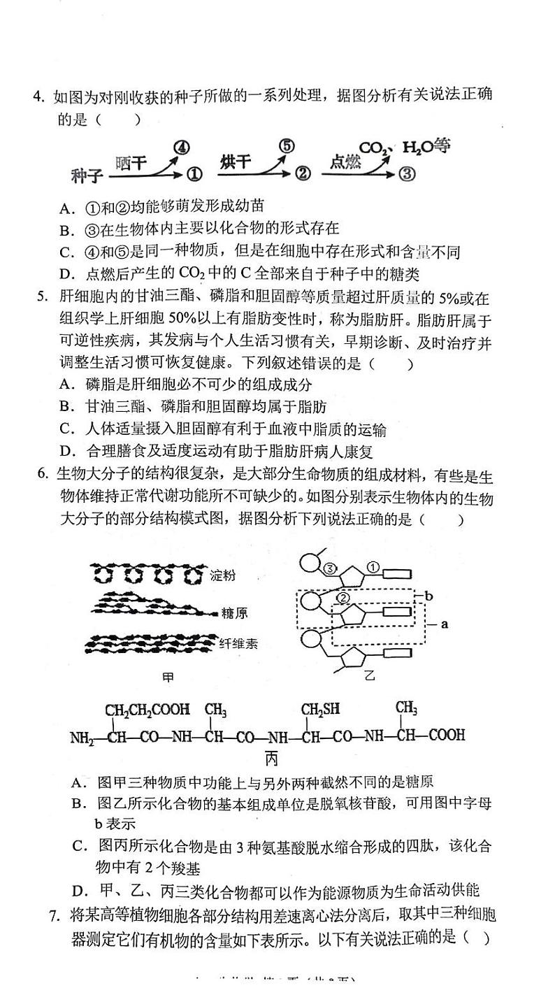 安徽省庐巢联盟2024-2025学年高一上学期第二次月考生物试卷(PDF版附答案)第2页