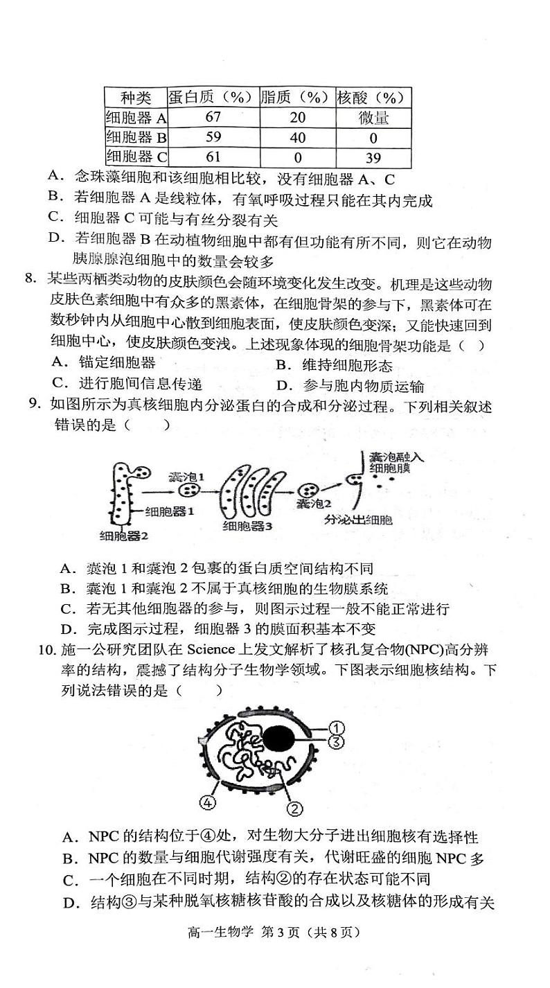 安徽省庐巢联盟2024-2025学年高一上学期第二次月考生物试卷(PDF版附答案)第3页