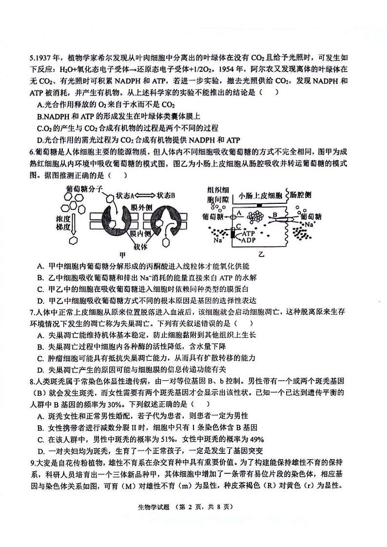 生物第2页