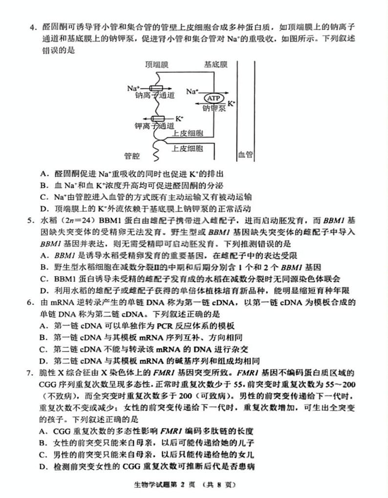 2025届八省联考河南省高考综台改革适应性演练生物学试题第2页