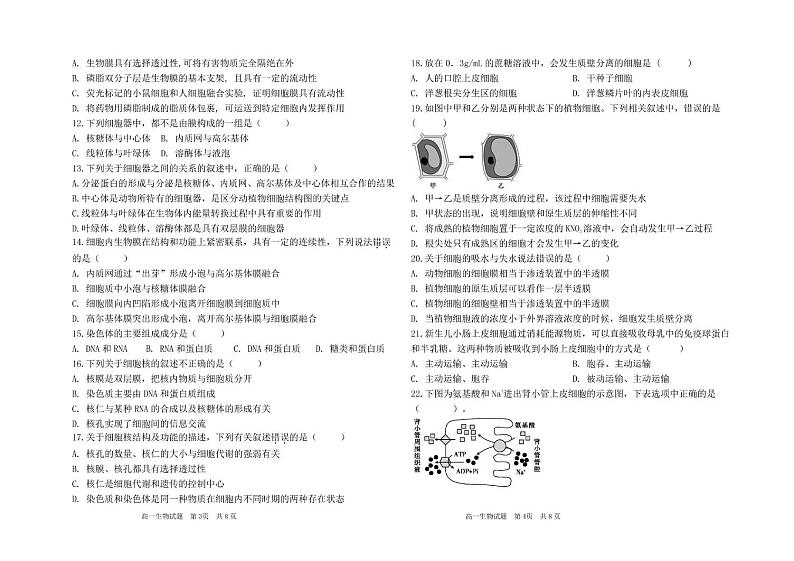 202412高一生物试题第2页