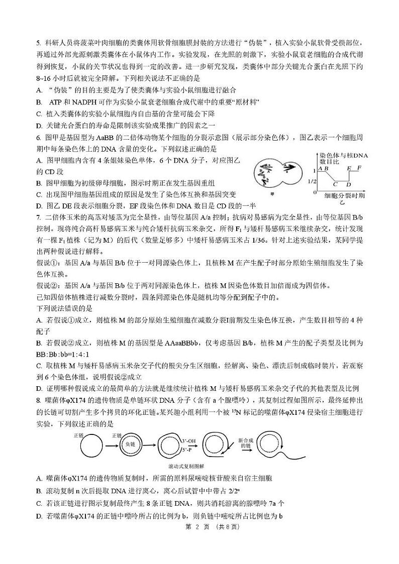 山东省师范大学附属中学2024-2025学年高三12月月考生物试题第2页