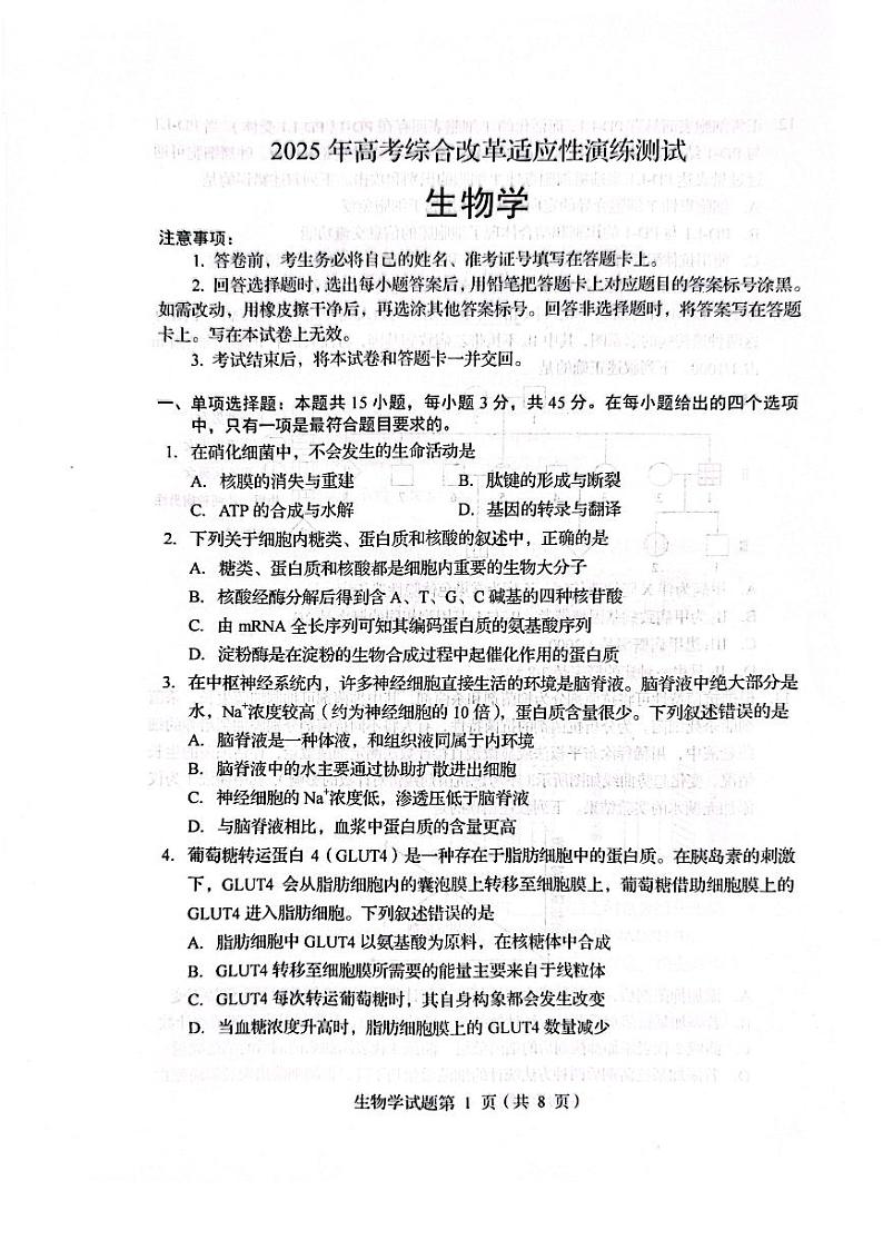 2025八省联考1月高三高考综合改革适应性演练测试生物试卷(四川)扫描版无答案第1页