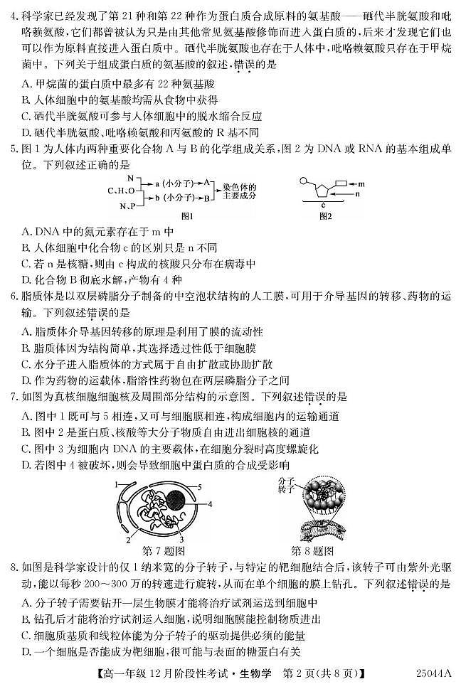 2025黑龙江省高一上学期12月月考试题生物PDF版含解析第2页
