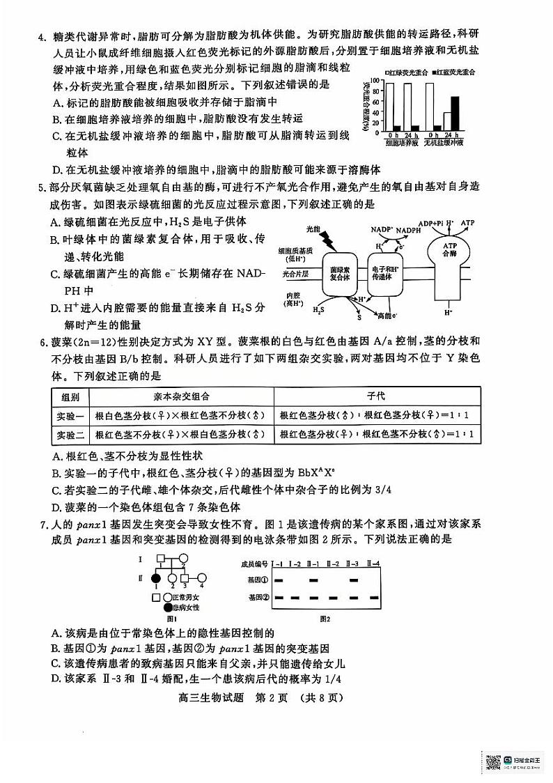 山东省济南市名校考试联盟2024-2025学年高三上学期12月月考生物试题第2页