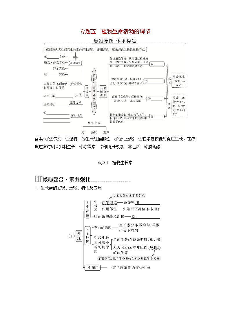 2025届高考生物二轮专题复习与测试板块二植物生理学专题五植物生命活动的调节第1页