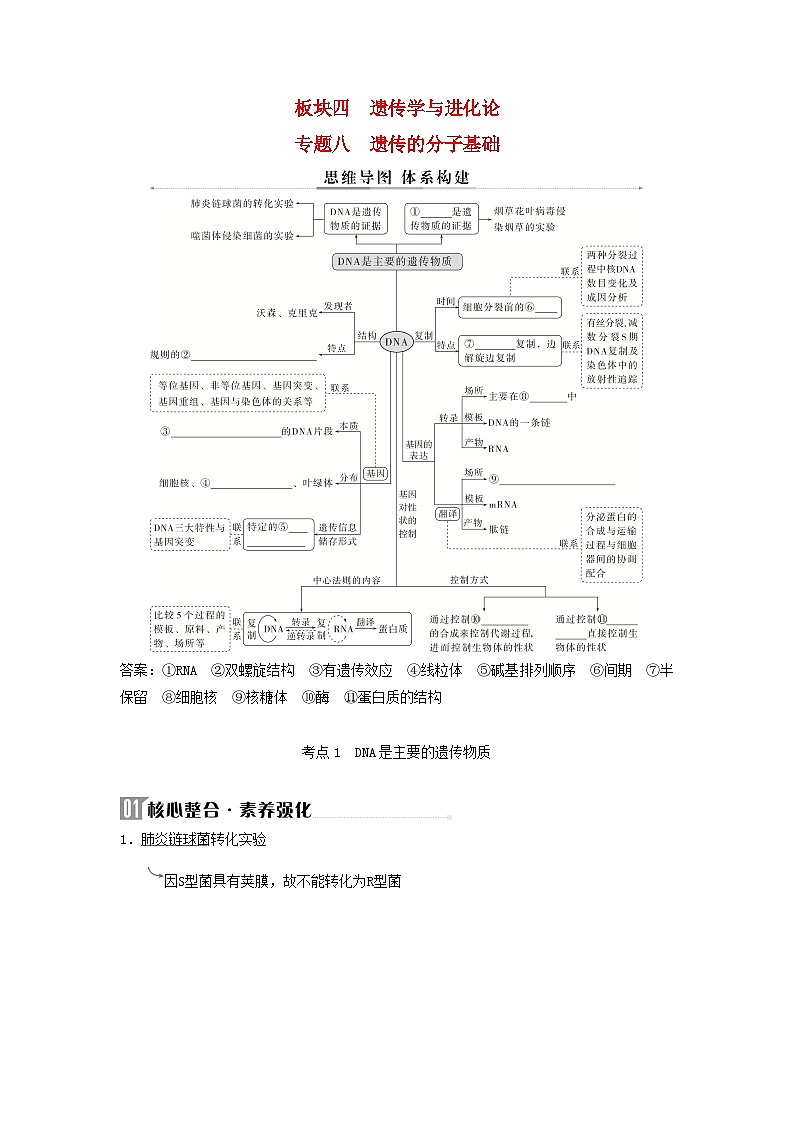 2025届高考生物二轮专题复习与测试板块四遗传学与进化论专题八遗传的分子基础第1页