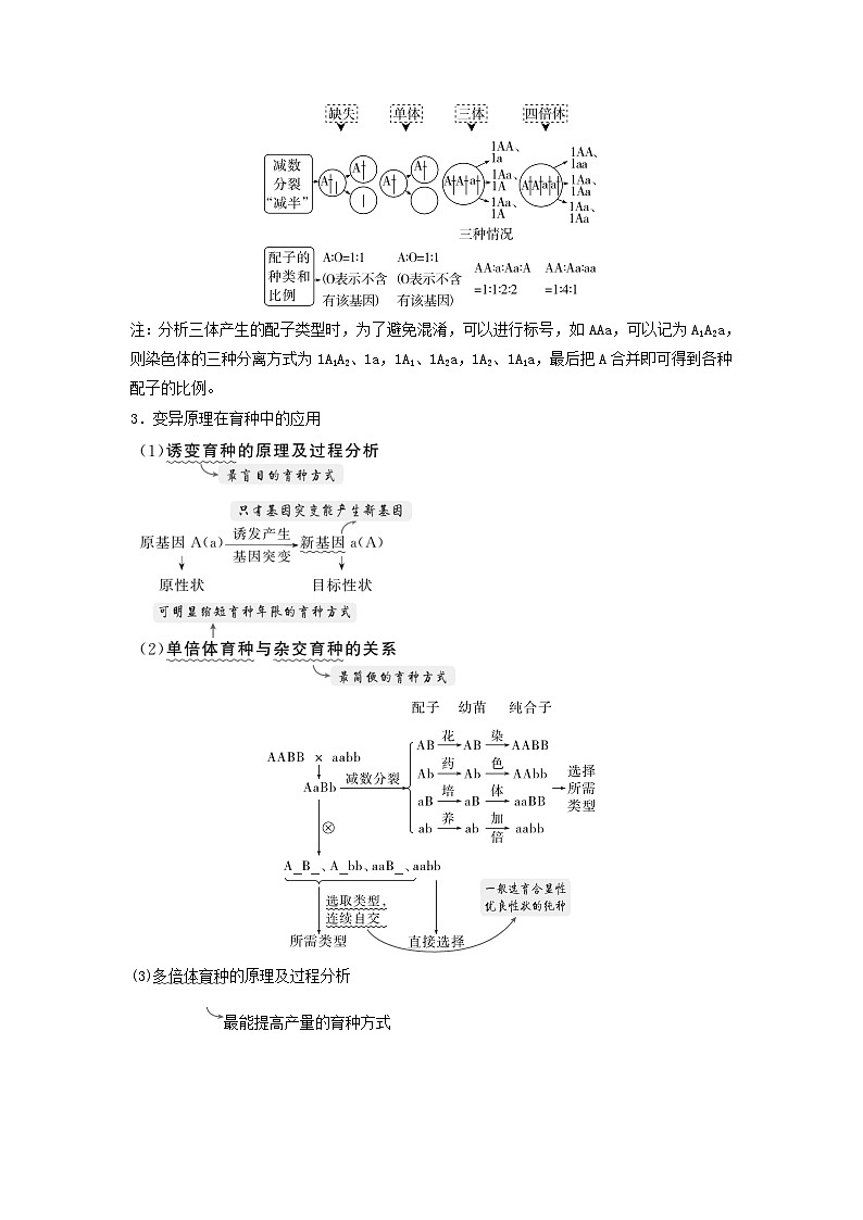 2025届高考生物二轮专题复习与测试板块四遗传学与进化论专题十变异和进化第3页