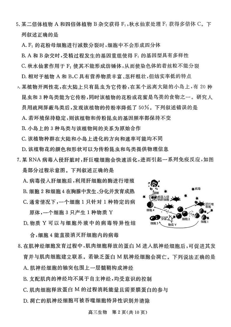 河北省张家口市 2024-2025学年高三上学期1月期末教学质量监测生物试题第2页