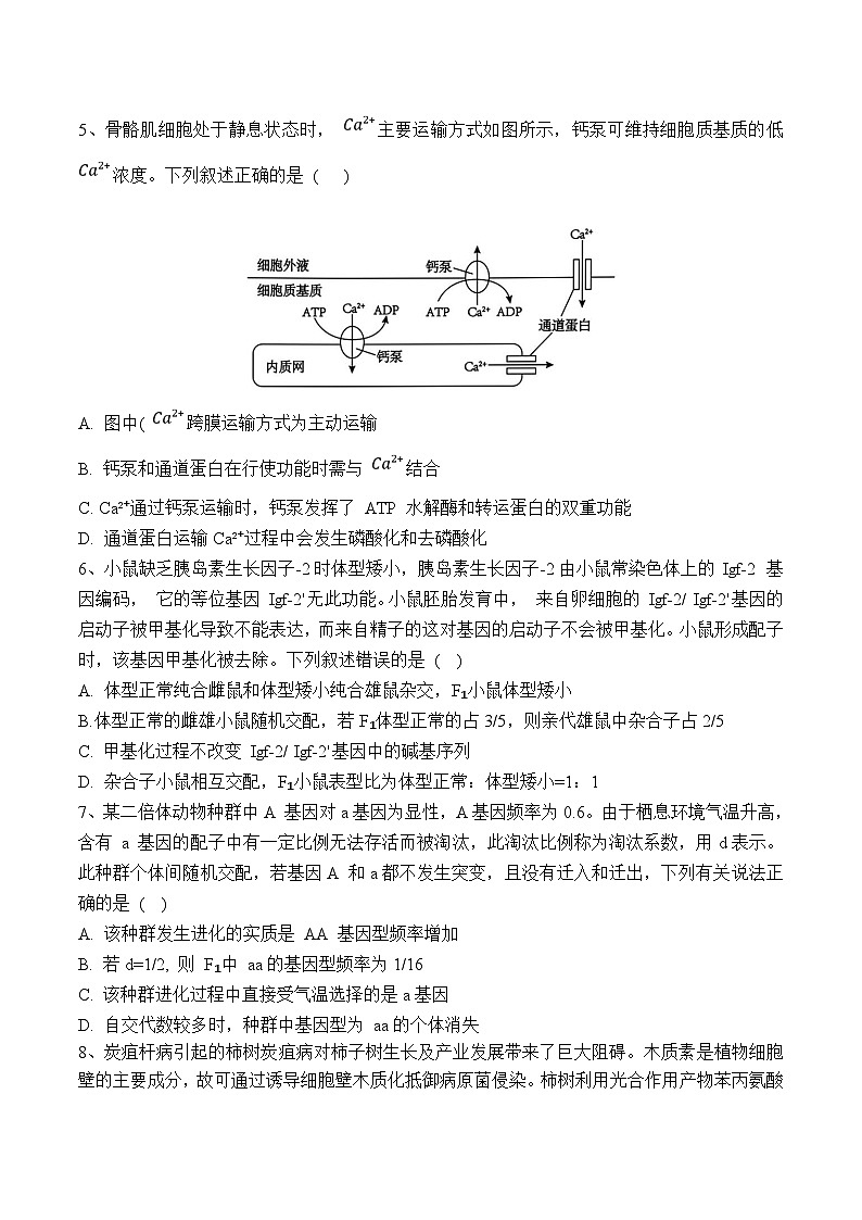 2025省佳木斯一中高三上学期第五次调研考试生物含答案第2页