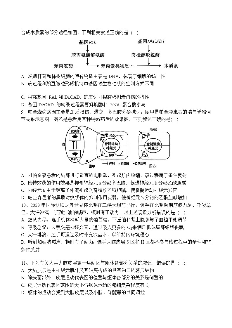 2025省佳木斯一中高三上学期第五次调研考试生物含答案第3页