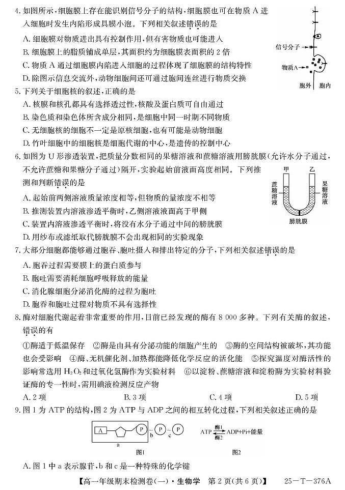 2025广州高一上学期期末检测卷(一)生物PDF版含解析第2页