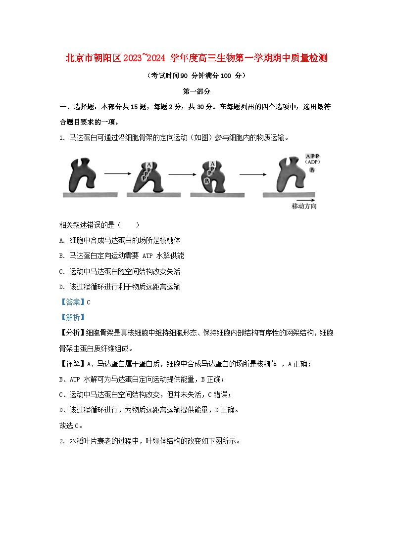 北京市朝阳区2023_2024学年高三生物上学期期中质量检测含解析