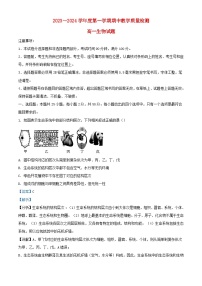 山东省济宁市邹城市2023_2024学年高一生物上学期11月期中试题