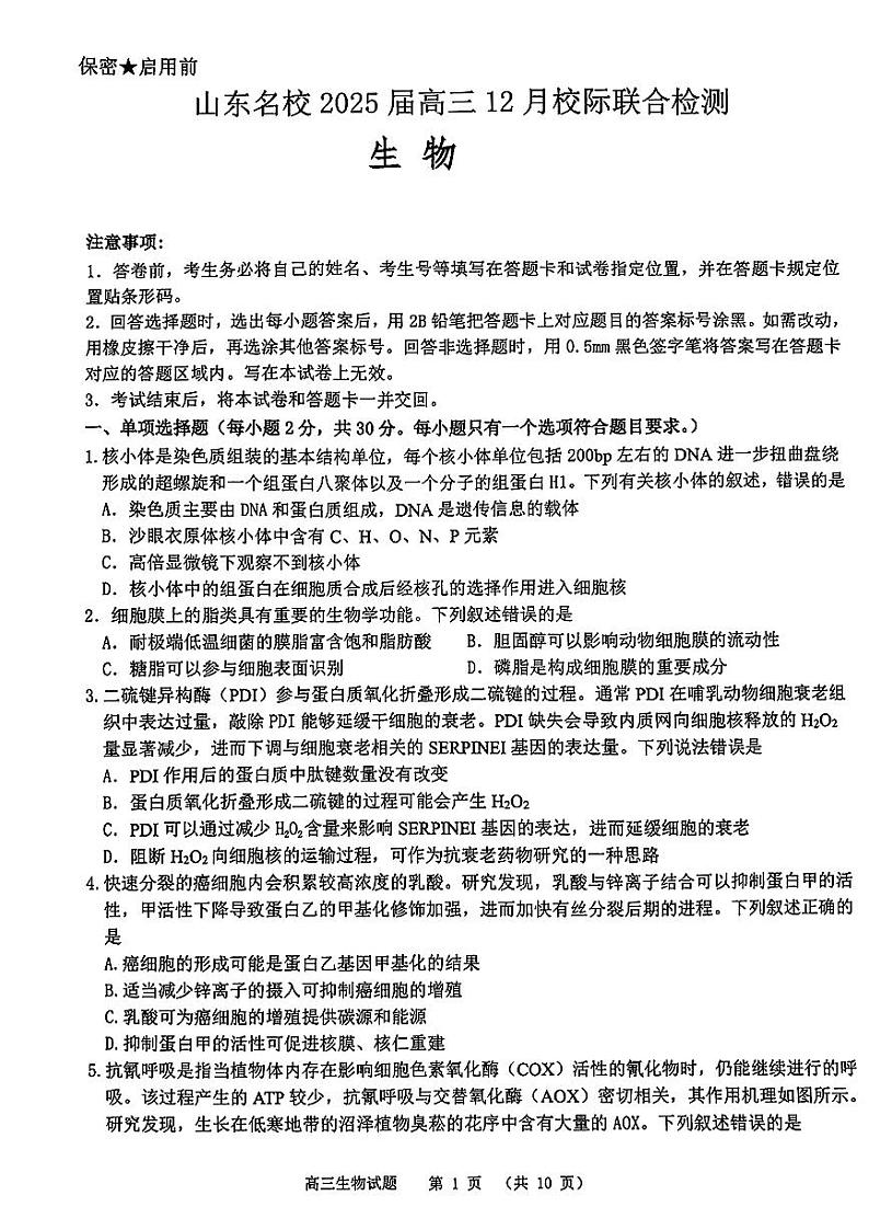 2025届山东名校高三上学期12月校际质量检测生物试题第1页