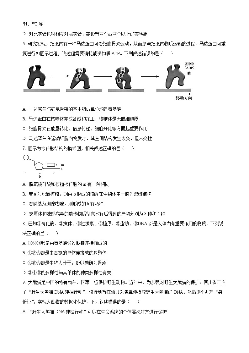 黑龙江省哈尔滨市香坊区哈尔滨市第九中学校2024-2025学年高一上学期12月月考生物试题 Word版无答案第2页