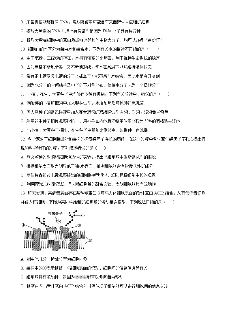 黑龙江省哈尔滨市香坊区哈尔滨市第九中学校2024-2025学年高一上学期12月月考生物试题 Word版无答案第3页