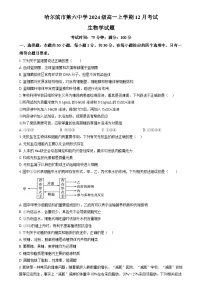 黑龙江省哈尔滨市第六中学2024-2025学年高一上学期12月月考生物试卷(Word版附答案)