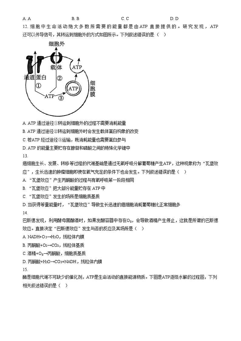 黑龙江省哈尔滨市哈三中2024~2025学年高一上学期12月月考生物试卷 Word版无答案第3页