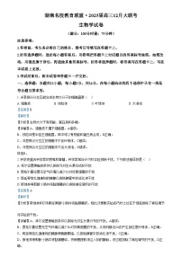 湖南省名校教育联盟2024-2025学年高三上学期12月大联考生物试题（Word版附解析）