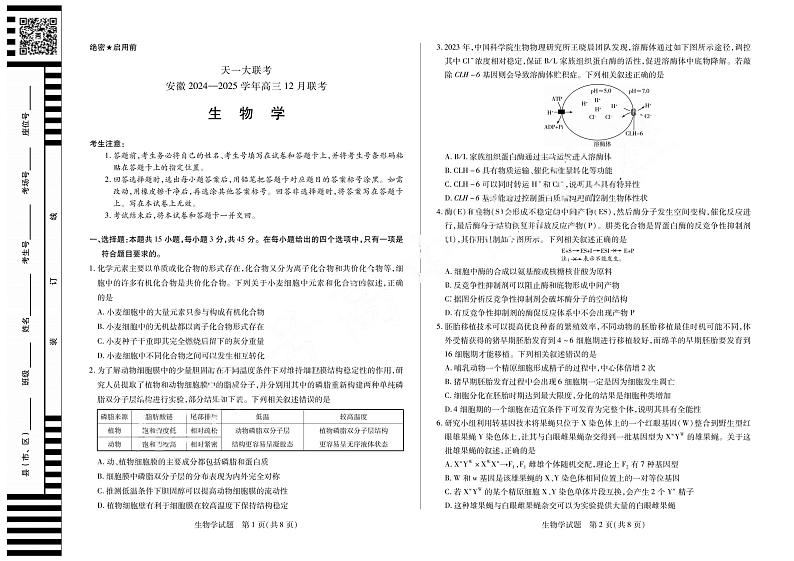 【安徽卷】安徽省天一大联考安徽2024-2025学年高三12月联考(12.19-12.20)          生物试卷+答案第1页