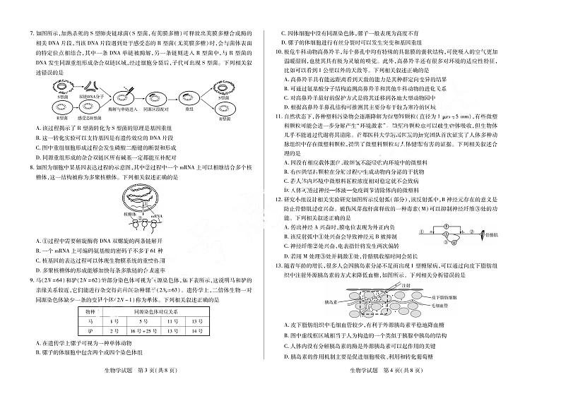 【安徽卷】安徽省天一大联考安徽2024-2025学年高三12月联考(12.19-12.20)          生物试卷+答案第2页