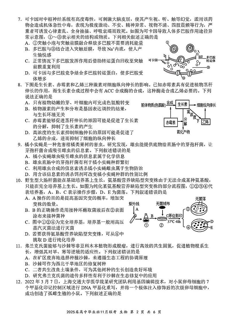 广西新课程教研联盟2024-2025学年高三上学期11月联考生物试卷(PDF版)含答案第2页