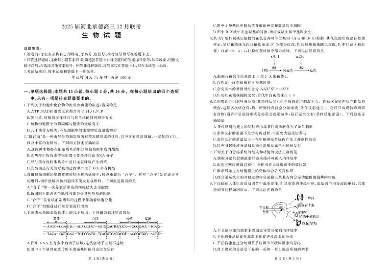 河北省承德市部分重点高中2024-2025学年高三上学期12月联考生物试卷(PDF版)含答案第1页
