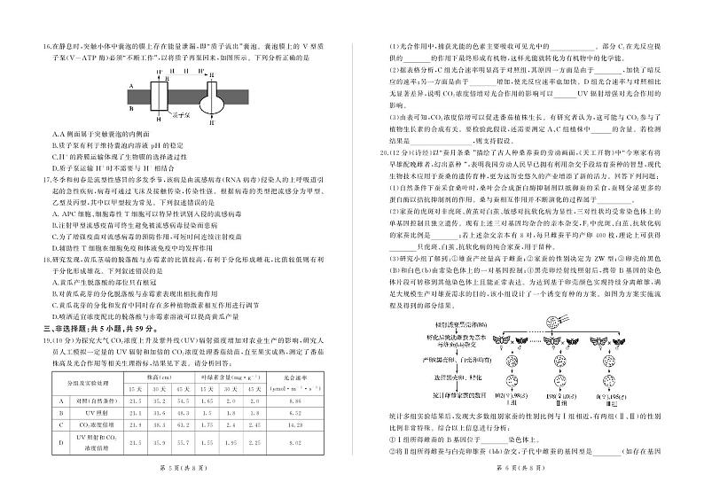 河北省承德市部分重点高中2024-2025学年高三上学期12月联考生物试卷(PDF版)含答案第3页