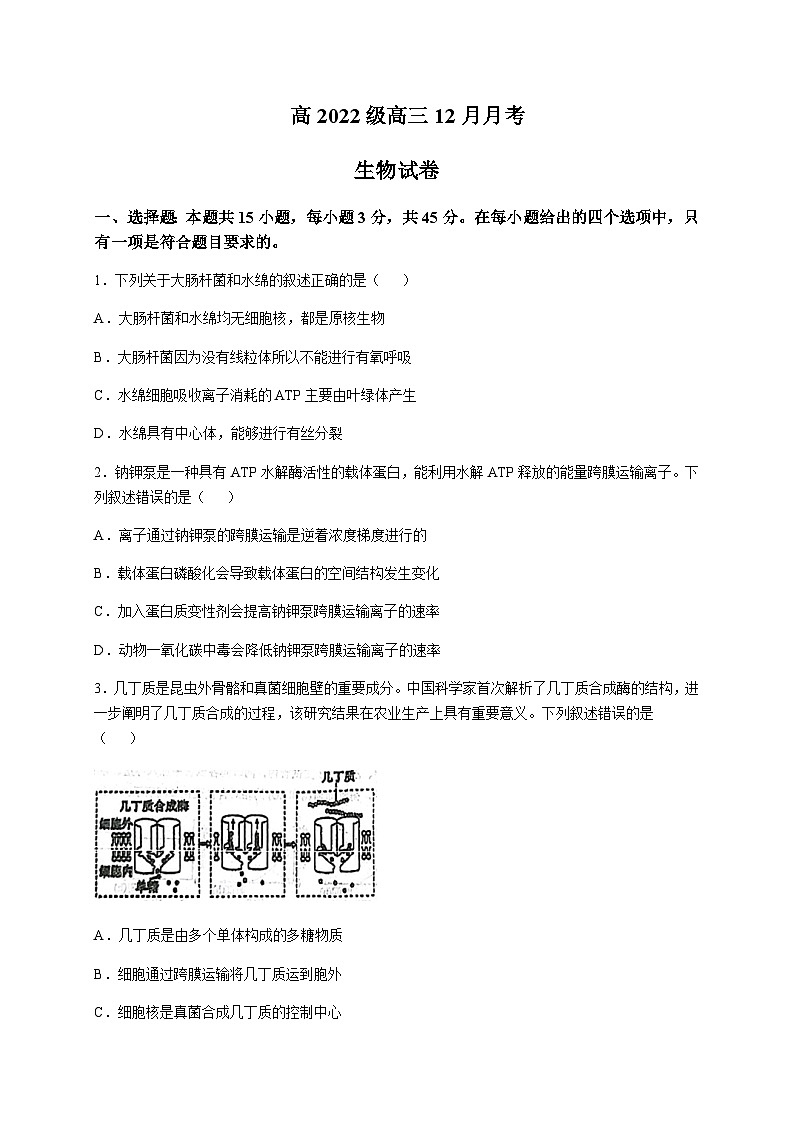 四川省南充市重点高中2024-2025学年高三上学期12月月考生物试卷含答案第1页
