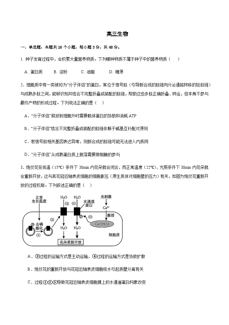 四川省宜宾市重点高中2024-2025学年高三上学期12月月考生物试卷含答案第1页